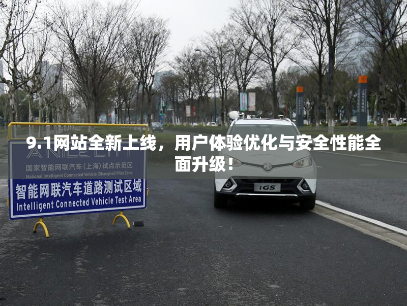 9.1网站全新上线，用户体验优化与安全性能全面升级！