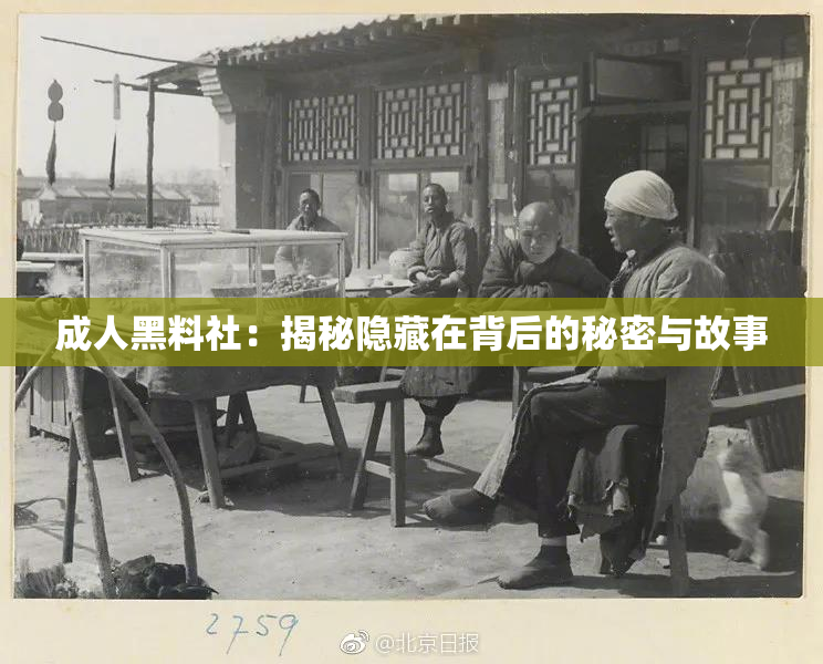 成人黑料社：揭秘隐藏在背后的秘密与故事