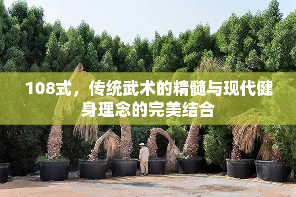108式，传统武术的精髓与现代健身理念的完美结合
