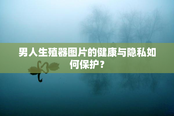 男人生殖器图片的健康与隐私如何保护？