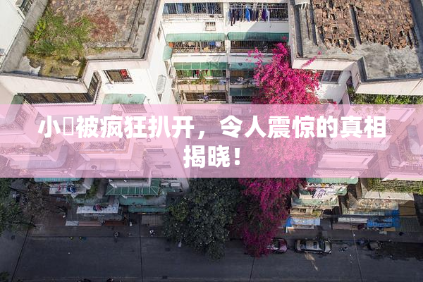 小泬被疯狂扒开，令人震惊的真相揭晓！
