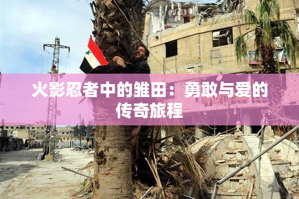 火影忍者中的雏田：勇敢与爱的传奇旅程