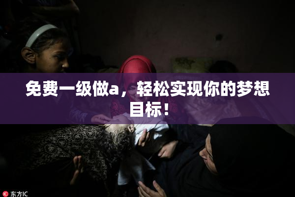 免费一级做a，轻松实现你的梦想目标！
