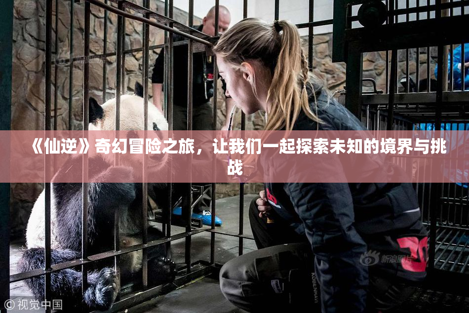《仙逆》奇幻冒险之旅，让我们一起探索未知的境界与挑战