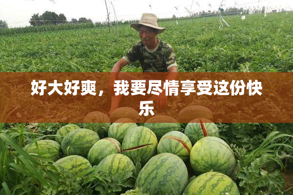好大好爽，我要尽情享受这份快乐