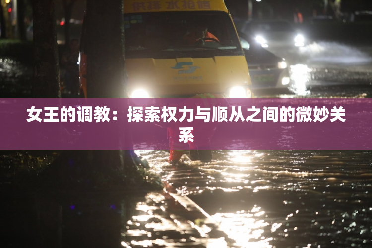 女王的调教：探索权力与顺从之间的微妙关系