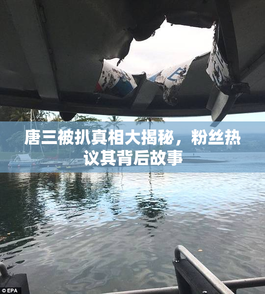 唐三被扒真相大揭秘，粉丝热议其背后故事