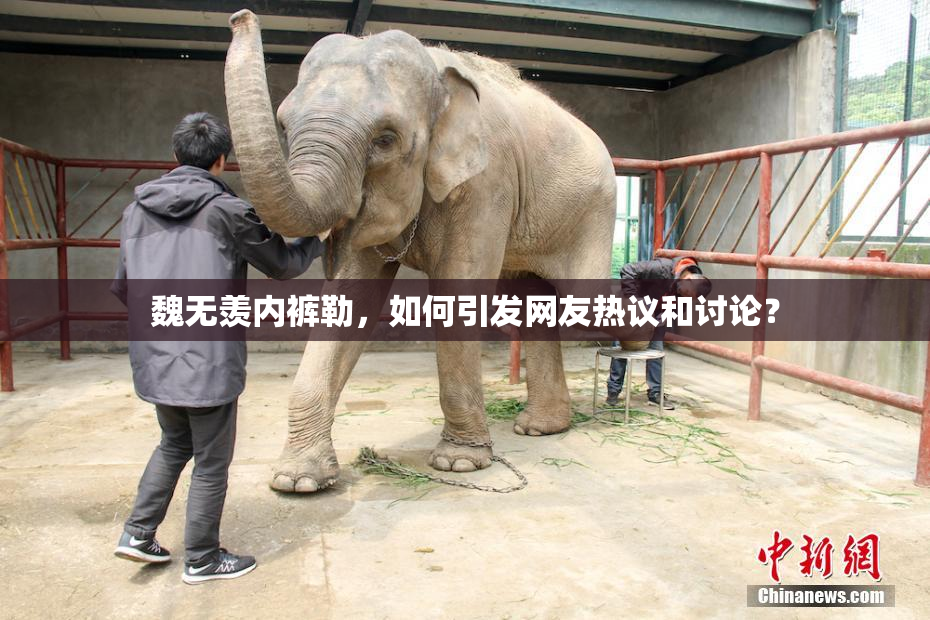 魏无羡内裤勒，如何引发网友热议和讨论？
