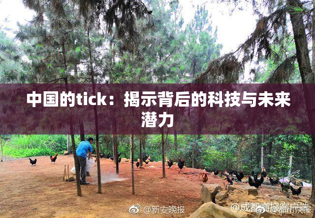 中国的tick：揭示背后的科技与未来潜力