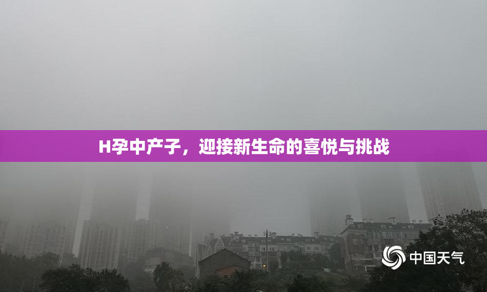 H孕中产子，迎接新生命的喜悦与挑战