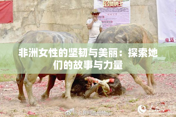 非洲女性的坚韧与美丽：探索她们的故事与力量