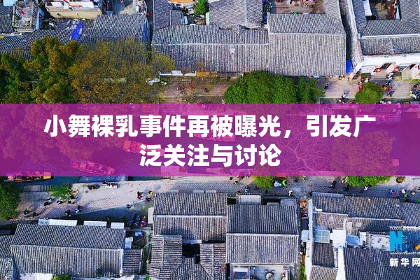 小舞裸乳事件再被曝光，引发广泛关注与讨论