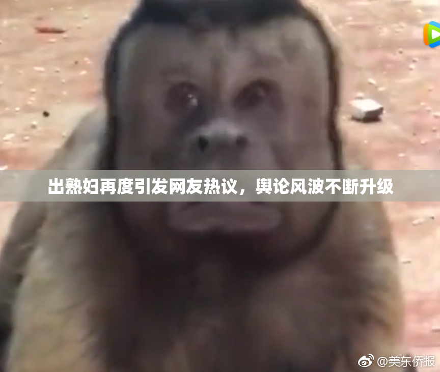 出熟妇再度引发网友热议，舆论风波不断升级