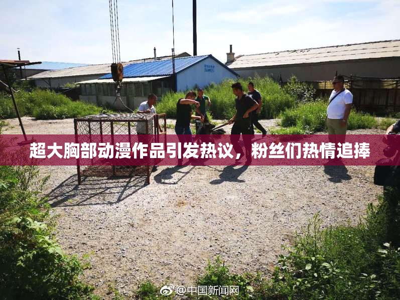 超大胸部动漫作品引发热议，粉丝们热情追捧