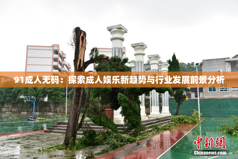 91成人无码：探索成人娱乐新趋势与行业发展前景分析