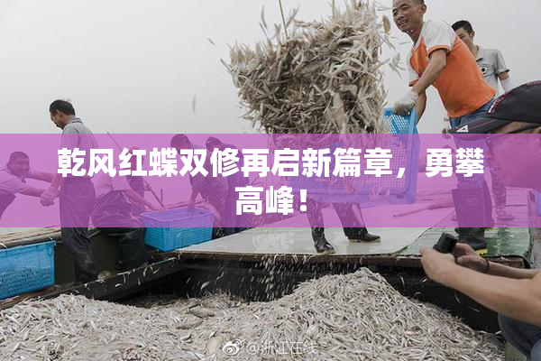 乾风红蝶双修再启新篇章，勇攀高峰！