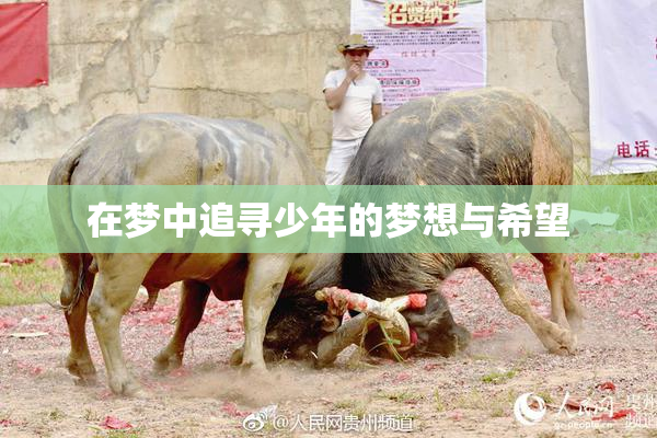 在梦中追寻少年的梦想与希望