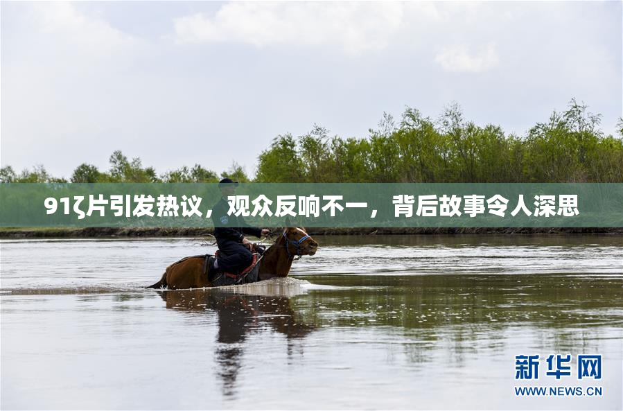 91ζ片引发热议，观众反响不一，背后故事令人深思