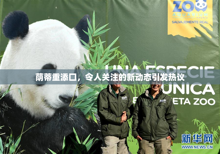 荫蒂重添囗，令人关注的新动态引发热议