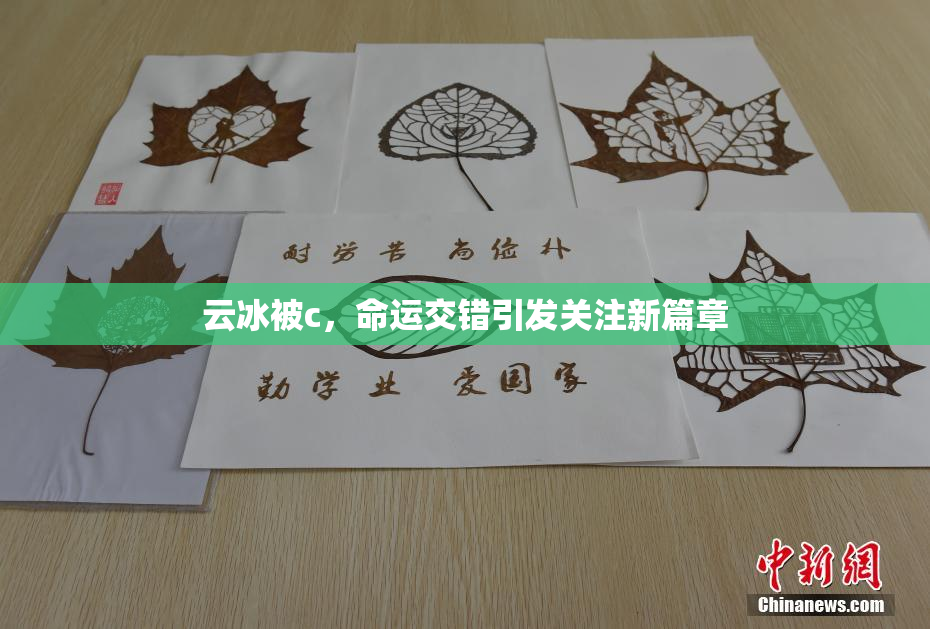 云冰被c，命运交错引发关注新篇章