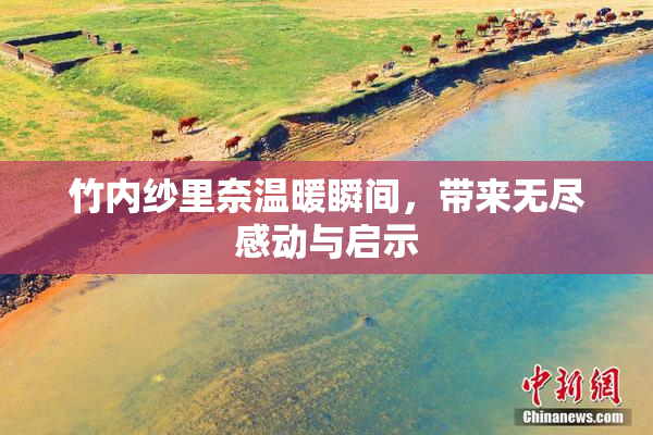 竹内纱里奈温暖瞬间，带来无尽感动与启示