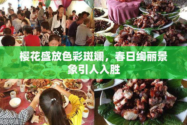 樱花盛放色彩斑斓，春日绚丽景象引人入胜