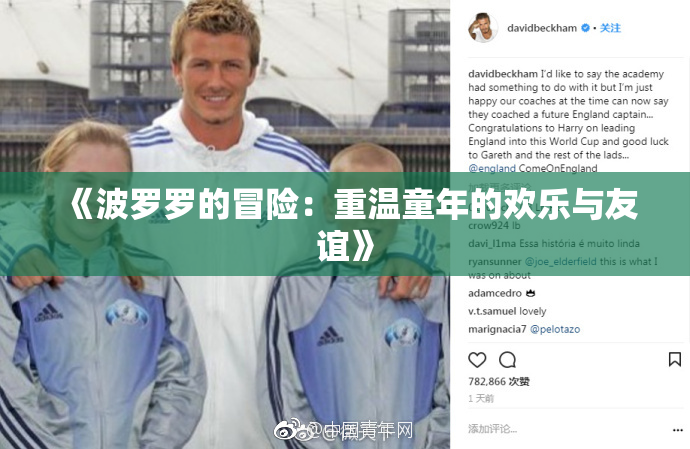 《波罗罗的冒险：重温童年的欢乐与友谊》