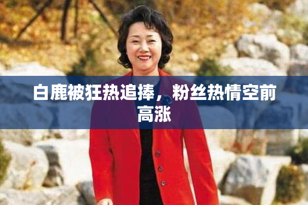 白鹿被狂热追捧，粉丝热情空前高涨