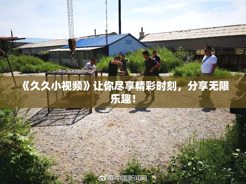 《久久小视频》让你尽享精彩时刻，分享无限乐趣！