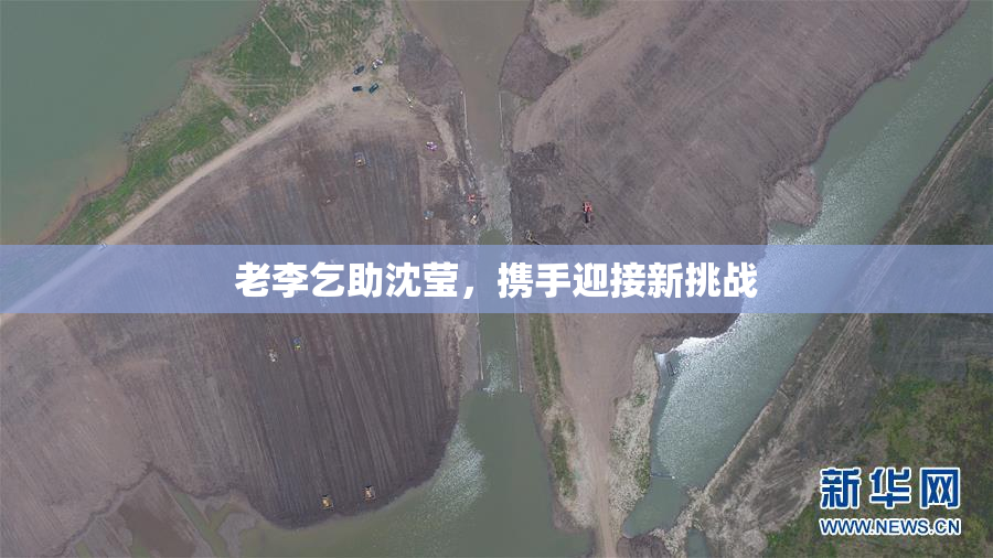 老李乞助沈莹，携手迎接新挑战