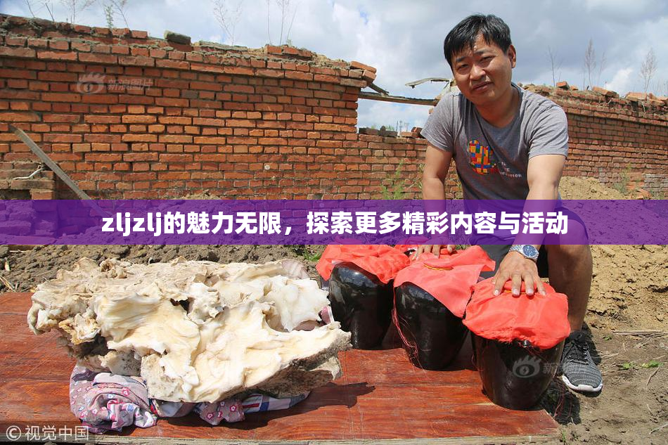 zljzlj的魅力无限，探索更多精彩内容与活动