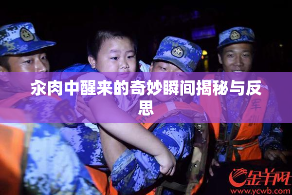 汆肉中醒来的奇妙瞬间揭秘与反思