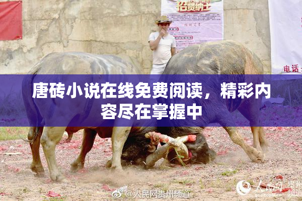唐砖小说在线免费阅读，精彩内容尽在掌握中