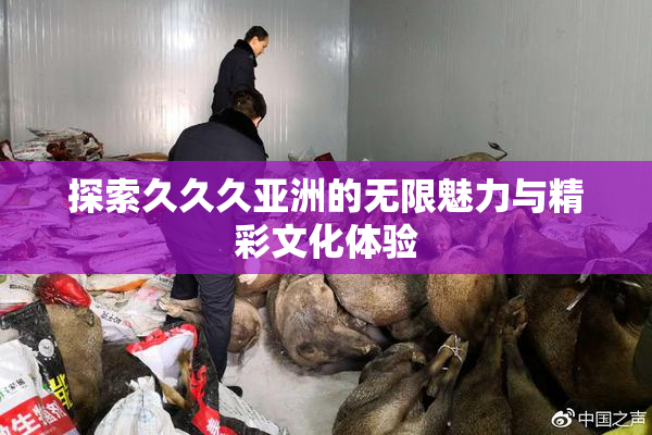 探索久久久亚洲的无限魅力与精彩文化体验