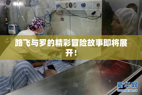 路飞与罗的精彩冒险故事即将展开！