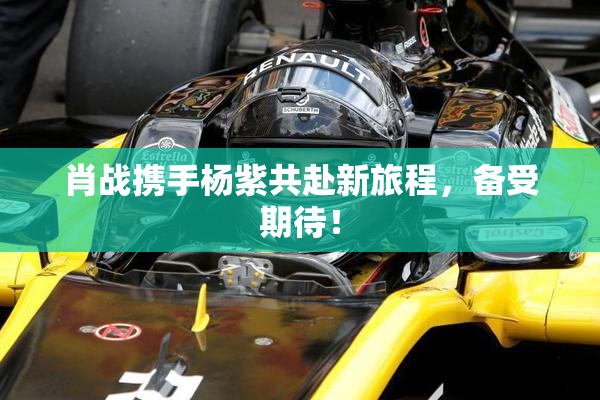 肖战携手杨紫共赴新旅程，备受期待！