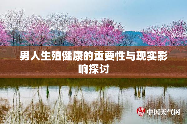 男人生殖健康的重要性与现实影响探讨