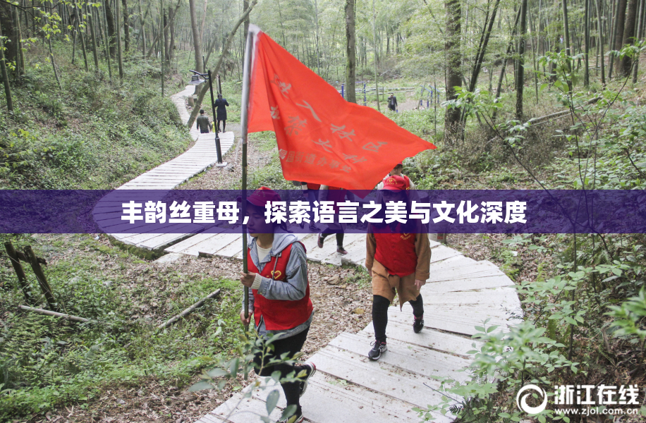 丰韵丝重母，探索语言之美与文化深度