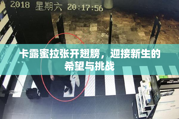卡露蜜拉张开翅膀，迎接新生的希望与挑战