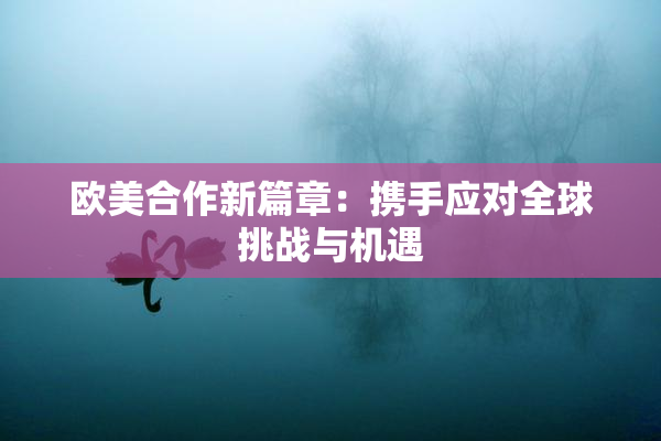 欧美合作新篇章：携手应对全球挑战与机遇