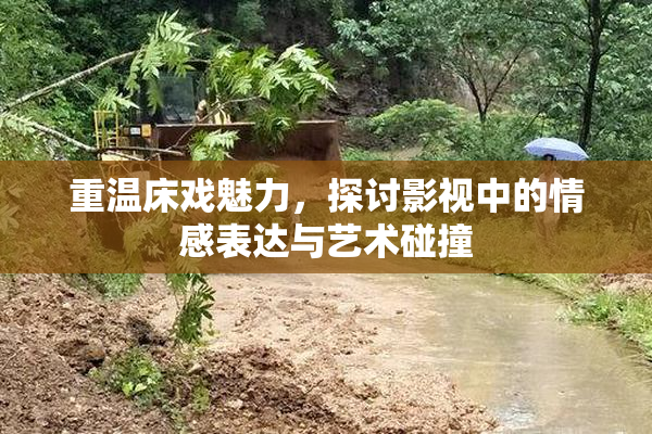 重温床戏魅力，探讨影视中的情感表达与艺术碰撞
