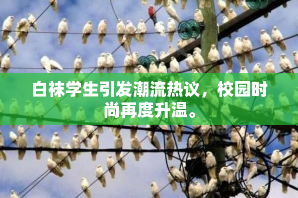 白袜学生引发潮流热议，校园时尚再度升温。