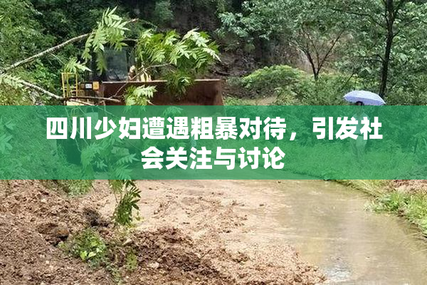 四川少妇遭遇粗暴对待，引发社会关注与讨论