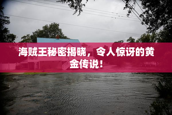 海贼王秘密揭晓，令人惊讶的黄金传说！