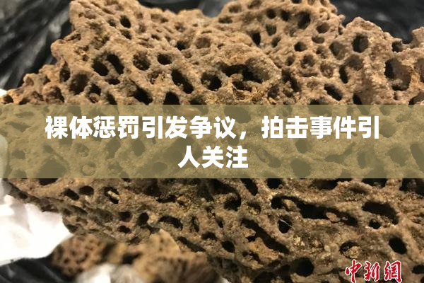 裸体惩罚引发争议，拍击事件引人关注