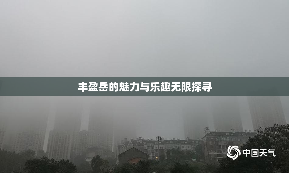 丰盈岳的魅力与乐趣无限探寻