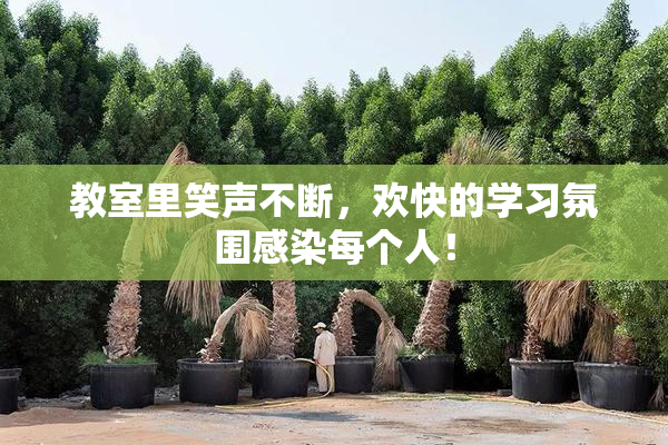 教室里笑声不断，欢快的学习氛围感染每个人！