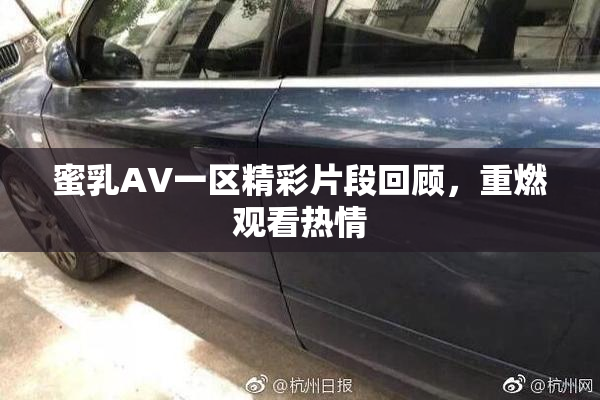 蜜乳AV一区精彩片段回顾，重燃观看热情