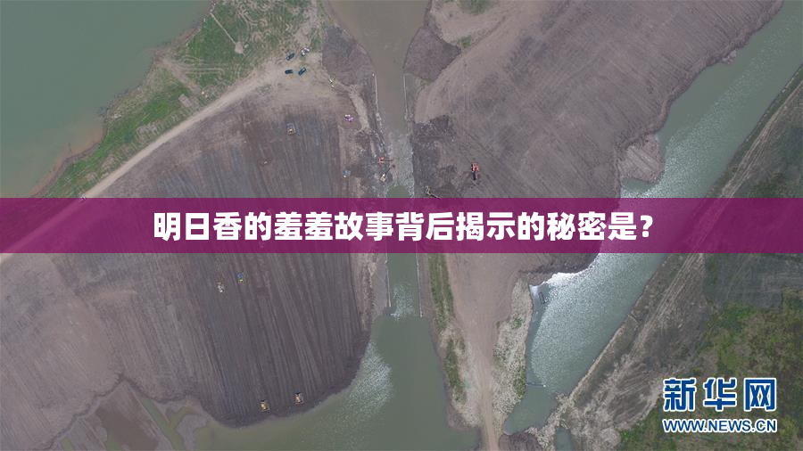 明日香的羞羞故事背后揭示的秘密是？