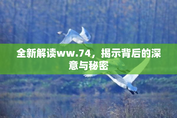 全新解读ww.74，揭示背后的深意与秘密